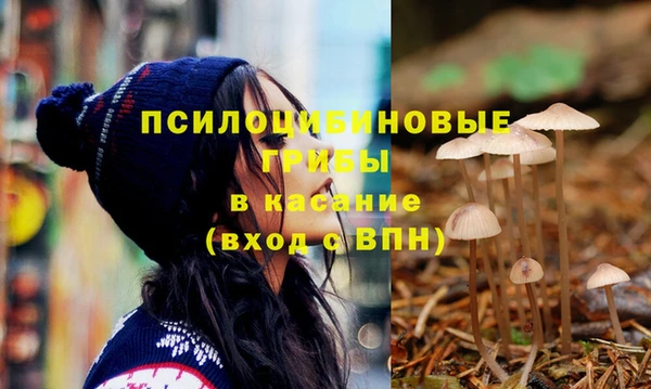 эйфоретик Алзамай