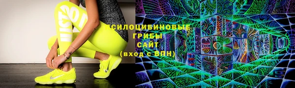 эйфоретик Алзамай