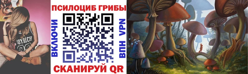 Галлюциногенные грибы Psilocybe  как найти закладки  Макушино 